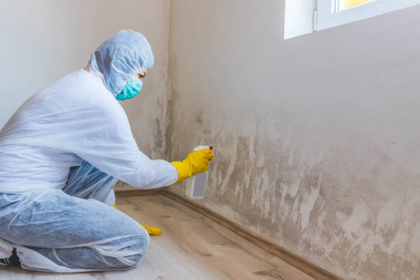 Licensed Commercial Mold Remediation service in Salem, IL - 24 Hour Mold Removal