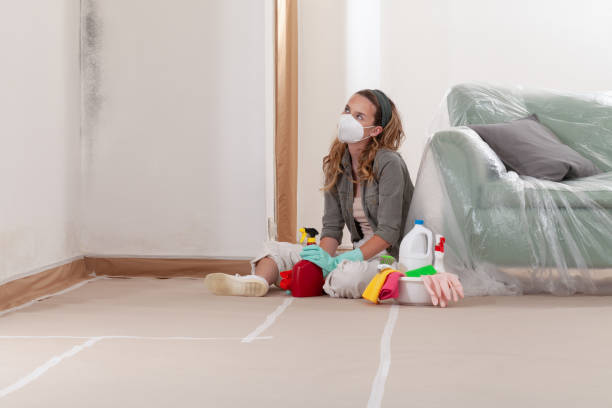 Reliable Commercial Mold Remediation contractor in Salem, IL by 24 Hour Mold Removal